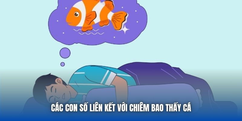 Các con số liên kết với chiêm bao thấy cá