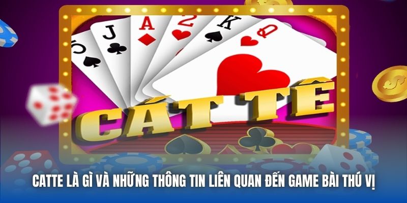 Catte là gì và những thông tin liên quan đến game bài thú vị