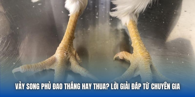 Vảy Song Phủ Đao Thắng Hay Thua? Lời Giải Đáp Từ Chuyên Gia